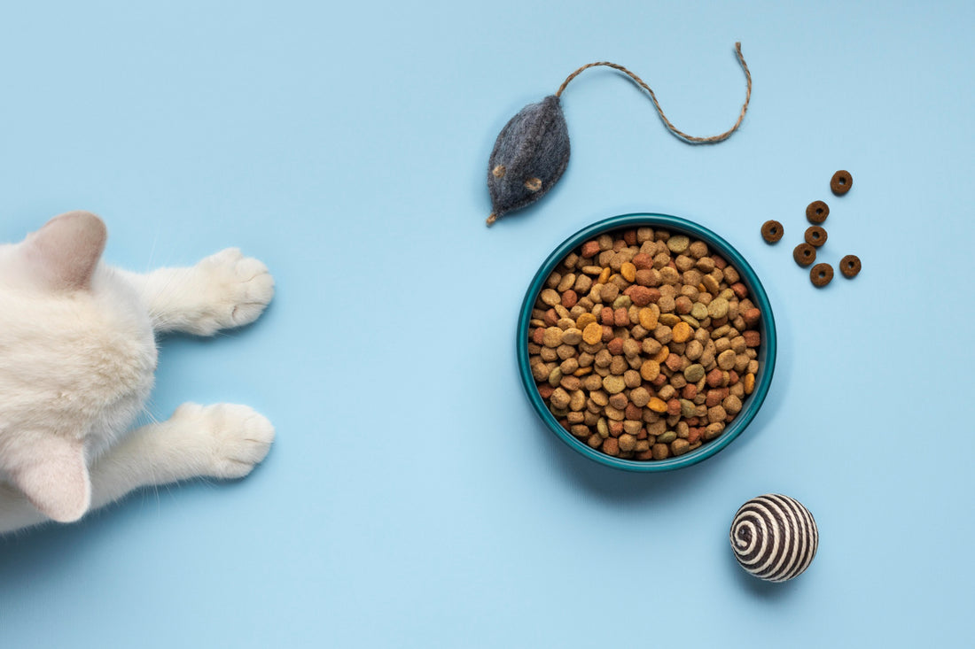 Essential Nutrients for Dogs and Cats