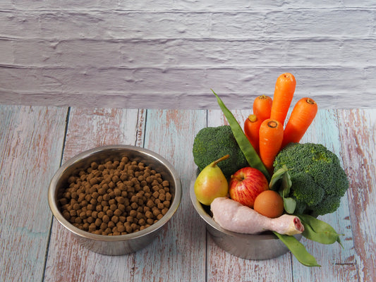 The Truth About Store-Bought vs. Homemade Pet Food