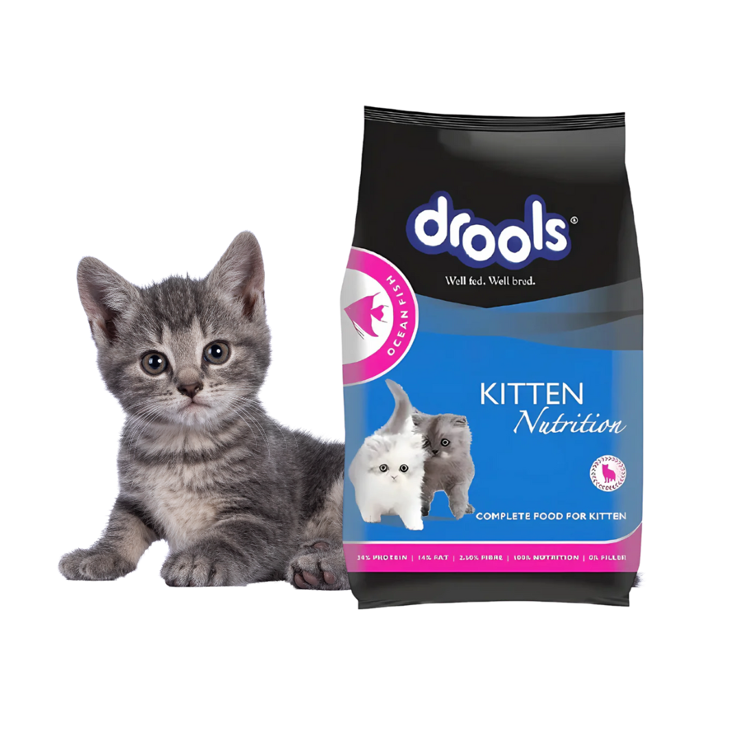 Drools Kitten Ocean Fish - 400g