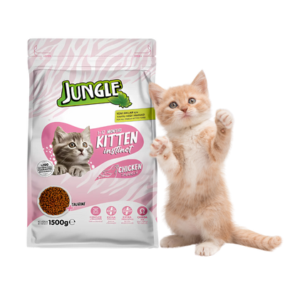 Jungle Chicken Kitten Cat Food -500g/1.5kg (Dry)