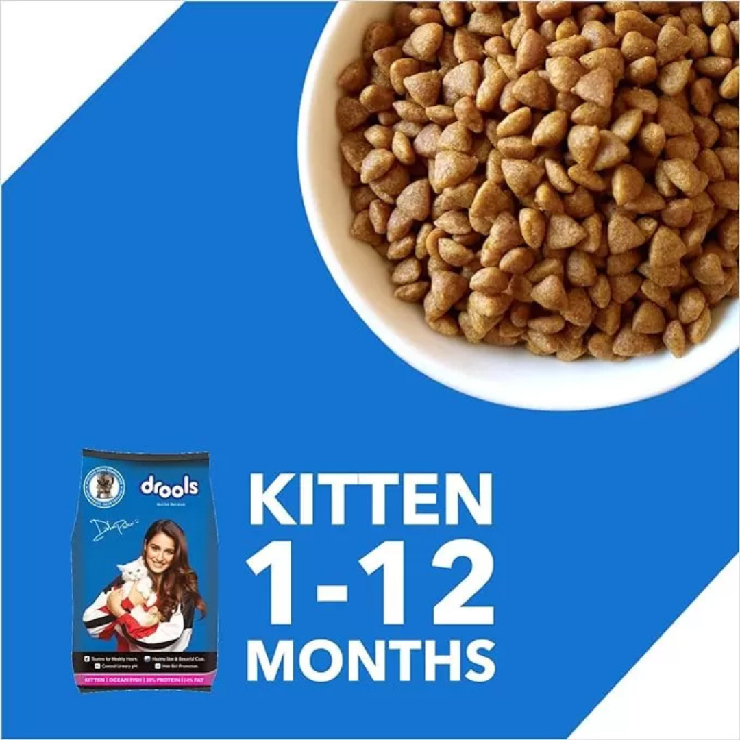 Drools Kitten Ocean Fish - 400g