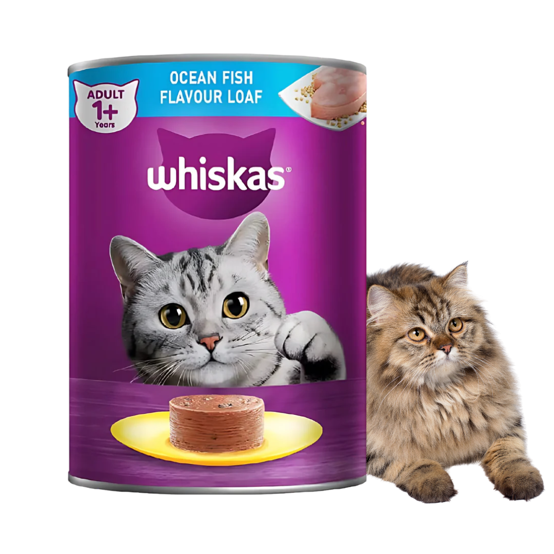 Whiskas Ocean Fish Flavour Canned-400gram (Wet)