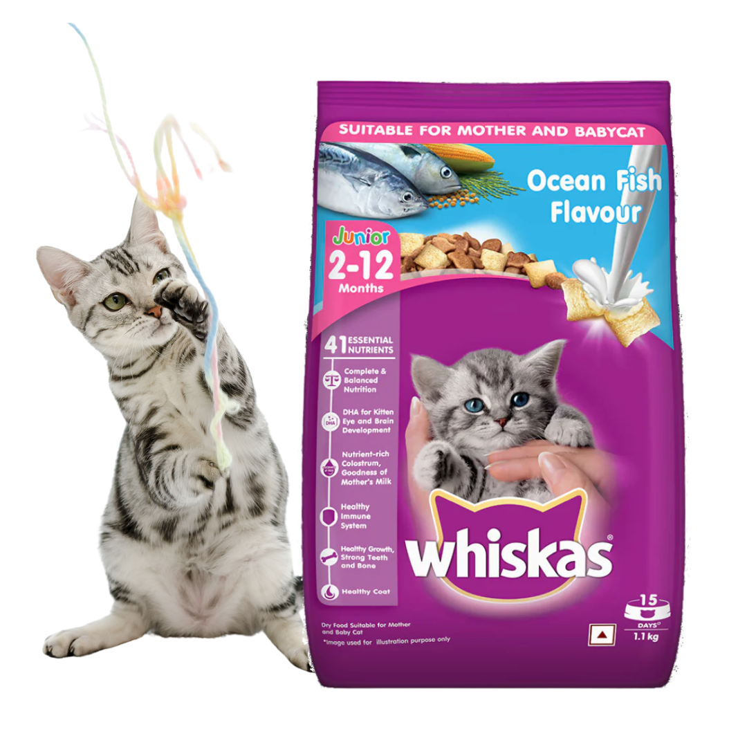 Whiskas Junior Ocean Fish Flavor -1.1kg/400gram (Dry)