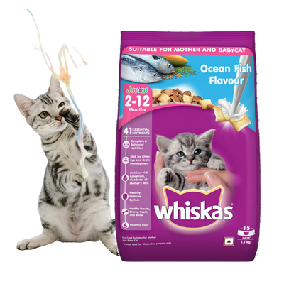 Whiskas Junior Ocean Fish Flavor -1.1kg/400gram (Dry)