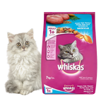 Whiskas Ocean Fish Flavor Adult-1.2kg/400gram (Dry)