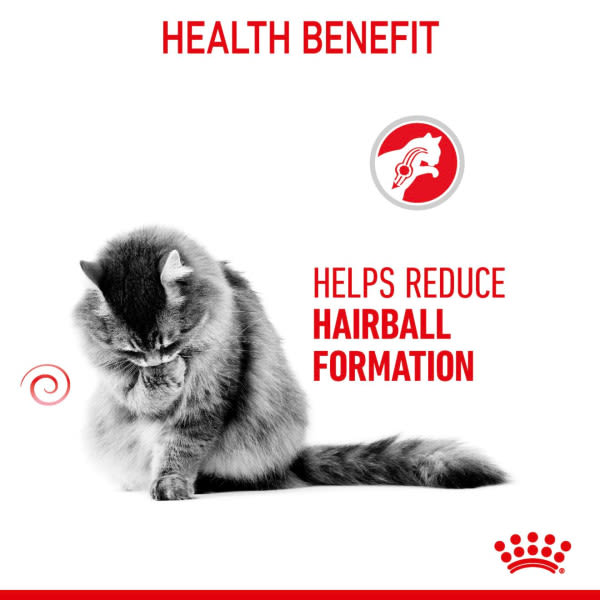 Royal Canin Hairball Care-2kg (Dry)