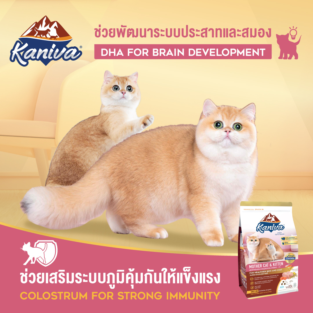 Kaniva For Mother & Kitten-1.3kg (Dry)